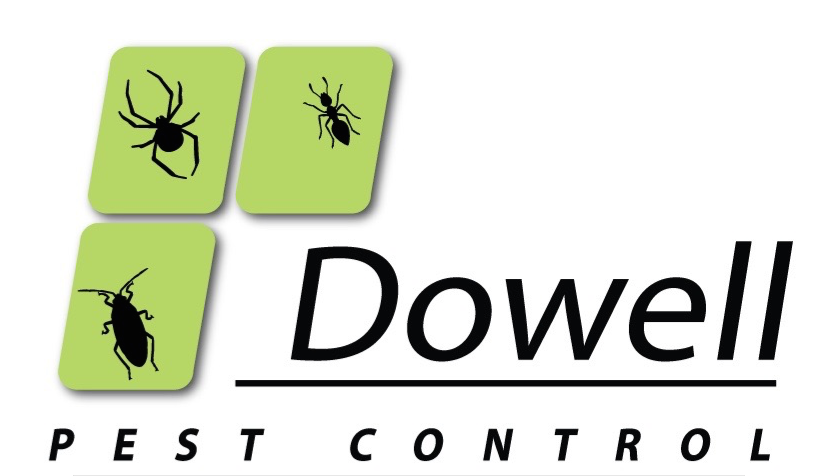 /wp-content/uploads/2026/07/newest-logo.png